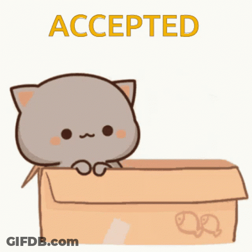 A Cartoon Of Two Cats In A Box With The Word Accepted Above Them GIF