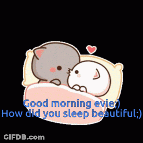 A Cartoon Of Two Cats Laying In A Bed With The Words Good Morning Evie GIF
