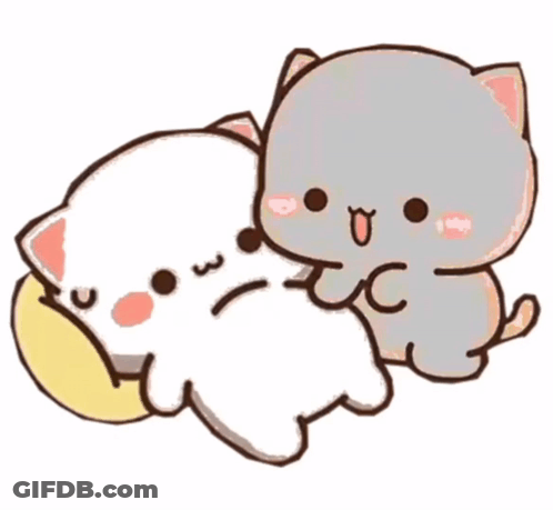 Two Cats Laying Next To Each Other GIF