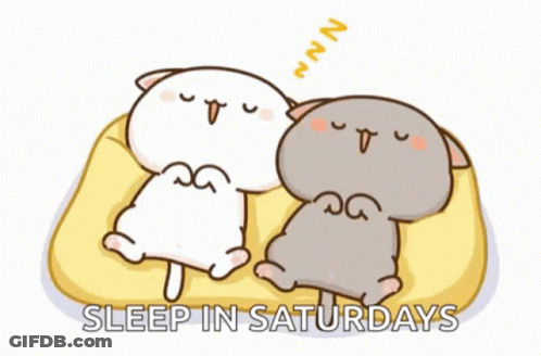 A Cartoon Of Two Cats Sleeping On A Bed With The Words Sleep In Saturdays Above Them GIF