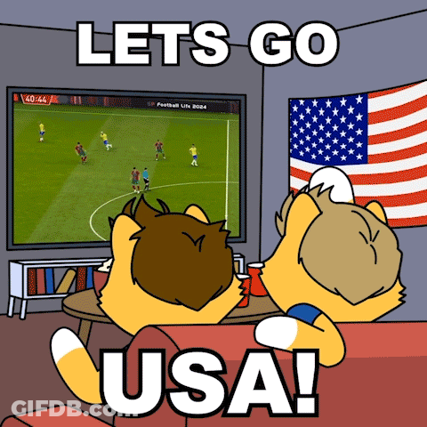 A Cartoon Of Two Cats Watching A Soccer Game With The Words Lets Go Usa On The Bottom GIF