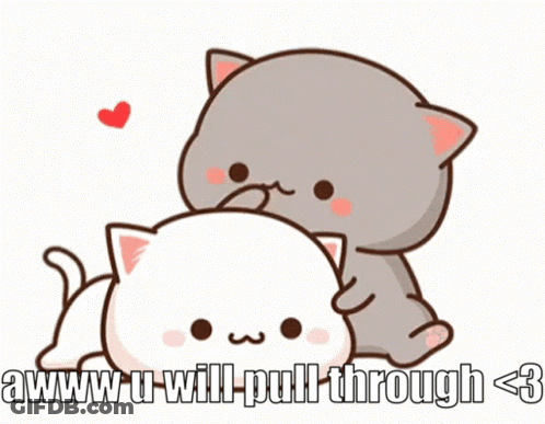 Two Cats Hugging With Aww U Will Pull Through GIF