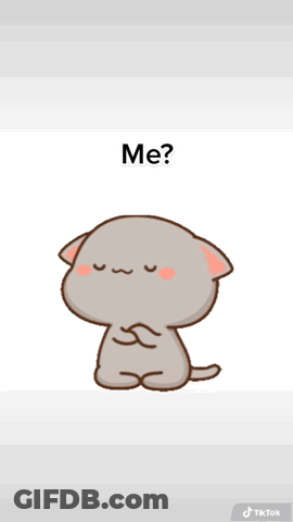 Cartoon Two Cats With Obsessed With You Text GIF