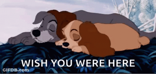 A Cartoon Of Two Dogs Sleeping Next To Each Other With The Words Wish You Were Here . GIF