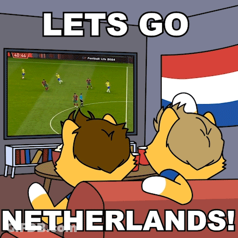 A Cartoon Of Two Foxes Watching A Soccer Game With The Words Let 'S Go Netherlands Below Them GIF