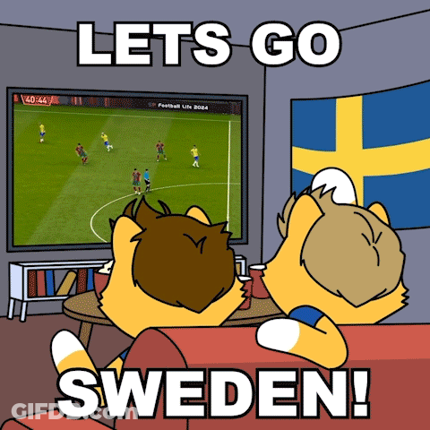 A Cartoon Of Two Foxes Watching A Soccer Game With The Words Lets Go Sweden Below Them GIF