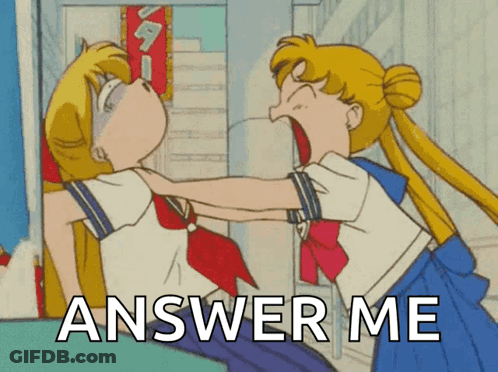 A Cartoon Of Two Girls Fighting With The Words Answer Me Above Them GIF