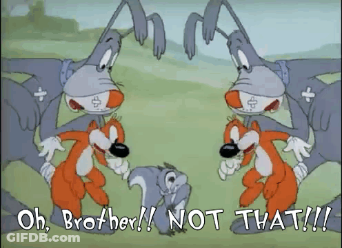 A Cartoon Of Two Rabbits And A Squirrel With The Words Oh Brother Not That Written Below Them GIF