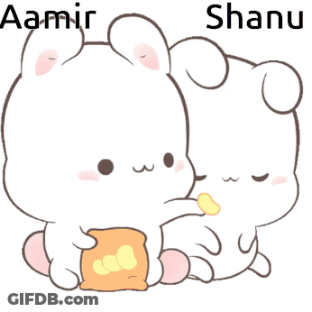 Cartoon Rabbits Aamir And Shanu GIF