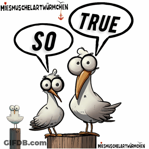 A Cartoon Of Two Seagulls With Speech Bubbles That Say True And So GIF