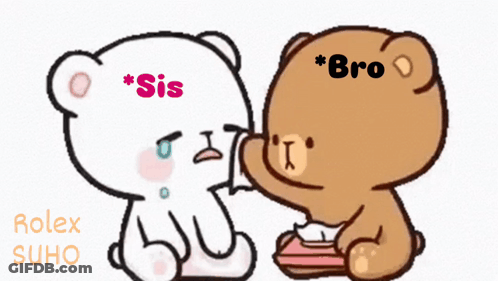 A Cartoon Of Two Teddy Bears With Sis And Bro Written On Their Heads GIF