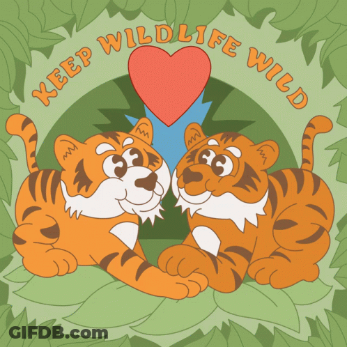 A Cartoon Of Two Tigers With A Heart And The Words Keep Wildlife Wild On The Bottom GIF
