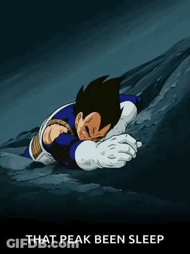 A Cartoon Of Vegeta Laying On A Rock With The Words That Peak Been Sleep Below Him GIF