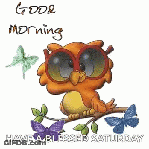 A Cartoon Owl Wearing Sunglasses Is Sitting On A Tree Branch . GIF
