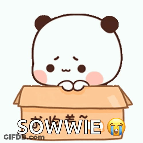 A Cartoon Panda Bear Is Sitting In A Cardboard Box With The Word Sowie Written On It GIF