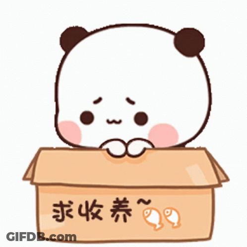 A Cartoon Panda Bear Sitting In A Cardboard Box With Chinese Writing On It GIF