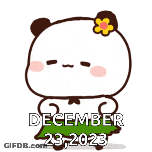A Cartoon Panda Bear With A Flower In Its Hair And The Date December 23,2023 GIF