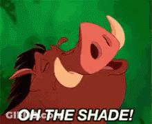 A Cartoon Pig Is Saying Oh The Shade . GIF
