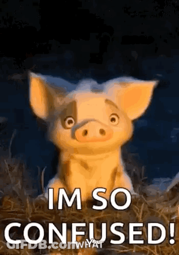 A Cartoon Pig Is Sitting In A Pile Of Hay And Saying `` Im So Confused ! '' GIF
