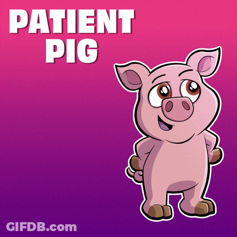 A Cartoon Pig Is Standing In Front Of A Purple Background That Says " Patient Pig " GIF