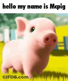 A Cartoon Pig Is Standing In The Grass With The Words `` Hello My Name Is Mcpig '' . GIF