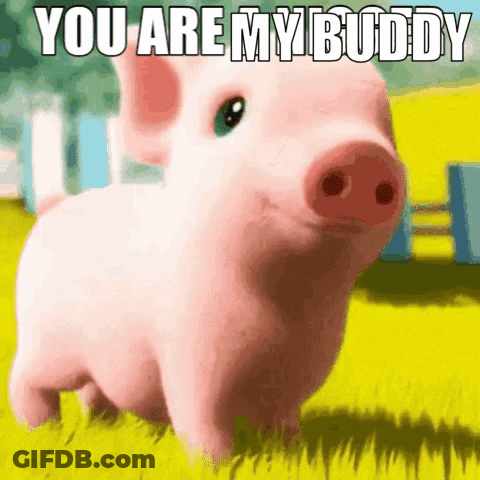 A Cartoon Pig Is Standing In The Grass With The Words You Are My Buddy Written Above It GIF