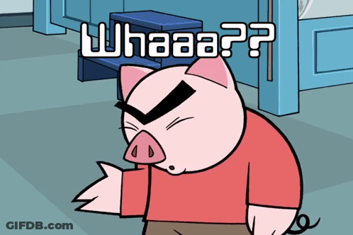 A Cartoon Pig Says " Whaaa?? " In White Letters On A Blue Background GIF