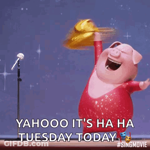A Cartoon Pig Singing Into A Microphone With The Words Yahoo It 'S Ha Ha Tuesday Today Below It GIF