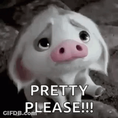 A Cartoon Pig With A Pink Nose Is Sitting On The Ground And Saying `` Pretty Please '' . GIF