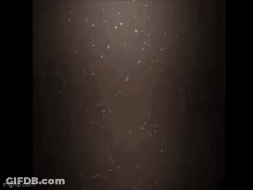 A Cartoon Pig With Horns And A Hat Is Being Destroyed . GIF