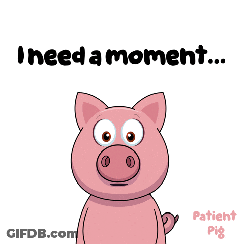 A Cartoon Pig With The Words " I Need A Moment " Behind It GIF