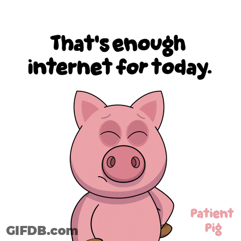 A Cartoon Pig With The Words That 'S Enough Internet For Today Below It GIF