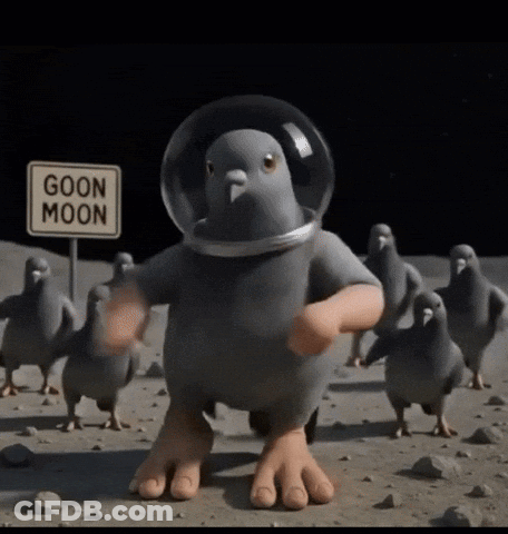 A Cartoon Pigeon Wearing A Helmet And A Sign That Says Goon Moon GIF