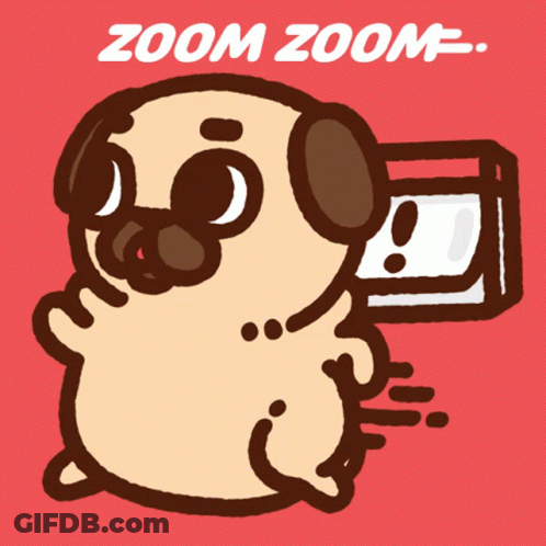 A Cartoon Pug With The Words Zoom Zoom Written Below It GIF