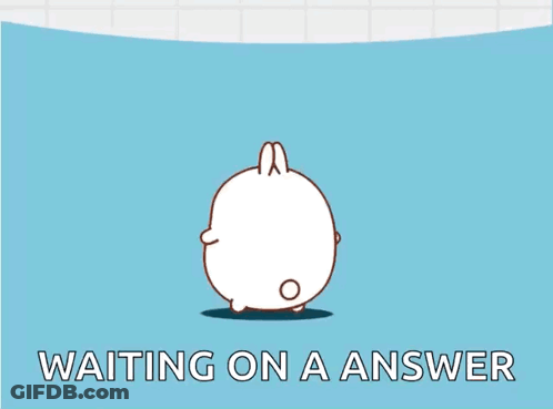A Cartoon Rabbit Is Standing On A Blue Background And Waiting On A Answer . GIF