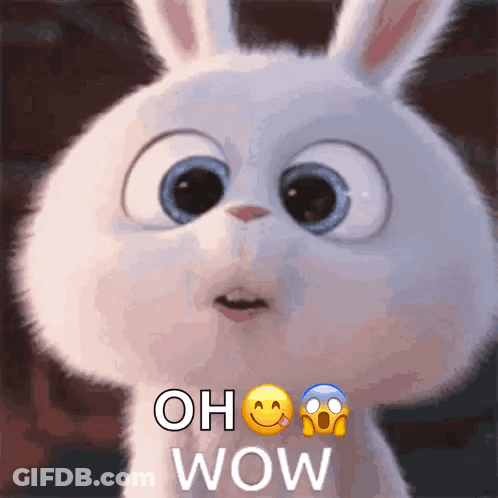 A Cartoon Rabbit With A Surprised Look On Its Face And The Words Oh Wow GIF