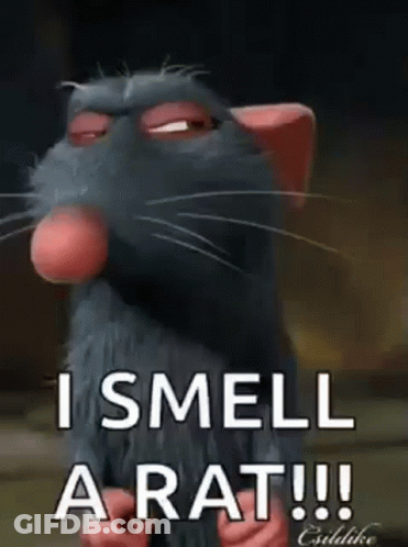 A Cartoon Rat Says `` I Smell A Rat ! '' GIF