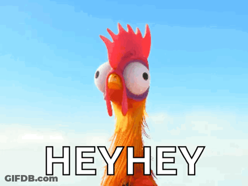 A Cartoon Rooster With Big Eyes And The Words Hey Hey Below It GIF