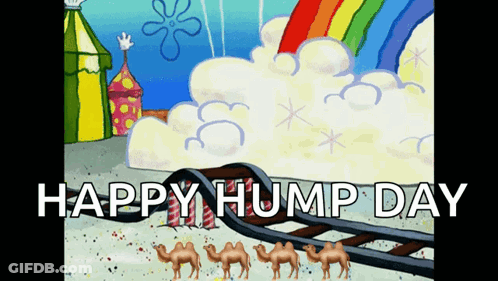 A Cartoon Says Happy Hump Day With A Rainbow And Clouds In The Background GIF