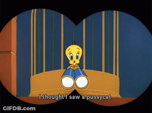 A Cartoon Says I Thought I Saw A Pussy Cat GIF