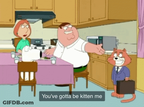 A Cartoon Scene With Peter Griffin And Lois Griffin Talking To A Cat GIF