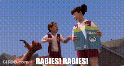 A Cartoon Scene With The Words Rabies Rabies GIF