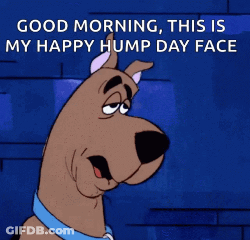 A Cartoon Scooby Doo Says " Good Morning This Is My Happy Hump Day Face " GIF