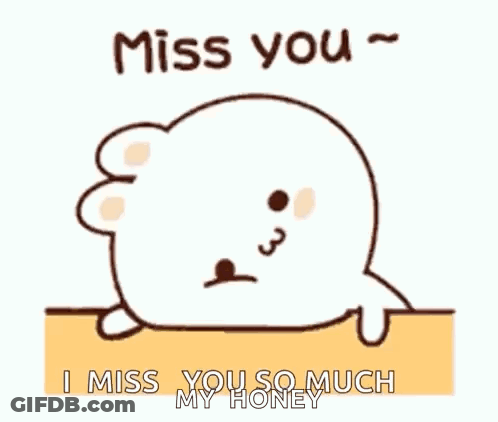 A Cartoon Seal Is Laying On A Table And Says `` I Miss You So Much My Honey '' . GIF