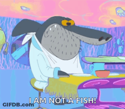 A Cartoon Shark Is Sitting At A Table And Says " I Am Not A Fish " GIF