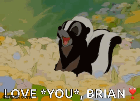 A Cartoon Skunk Is Standing In A Field Of Flowers And Says Love You Brian GIF