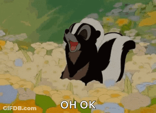 A Cartoon Skunk Is Standing In A Field Of Flowers With The Words Oh Ok Below It . GIF