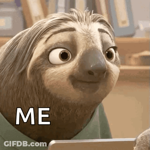 A Cartoon Sloth Is Sitting In Front Of A Laptop Computer And Says Me . GIF