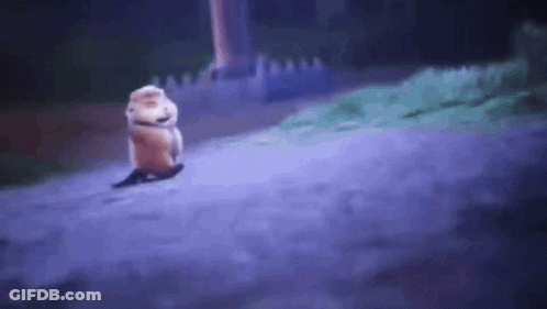 A Cartoon Squirrel Is Walking Down A Road At Night GIF
