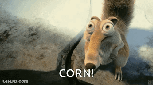 A Cartoon Squirrel Says Corn In Front Of A Rock GIF